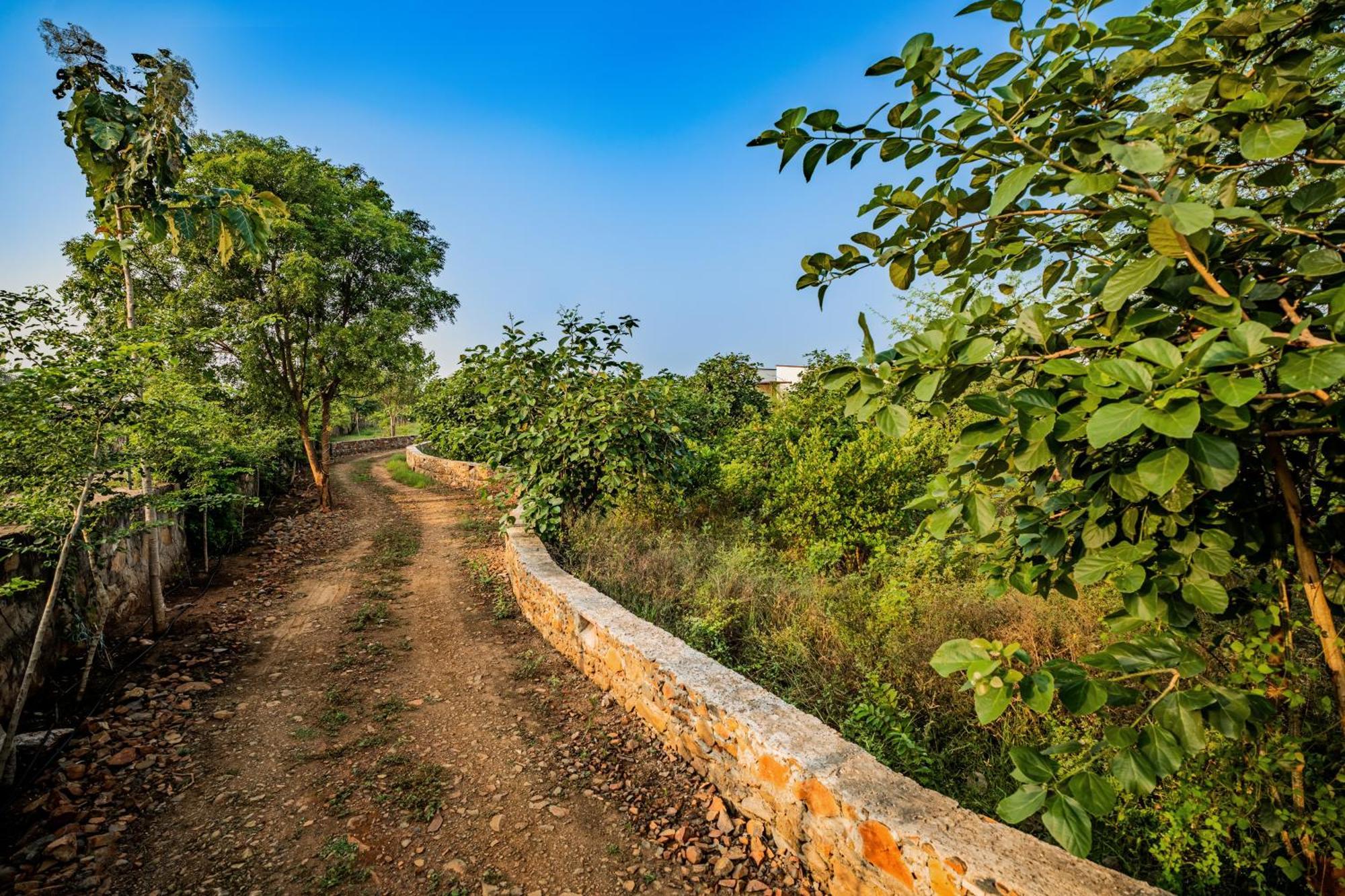 Guldaar Sariska - A Luxury Forest Resort Tehla Exterior photo